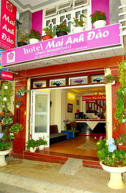 Mai Anh Dao Hotel Da Lat Kültér fotó