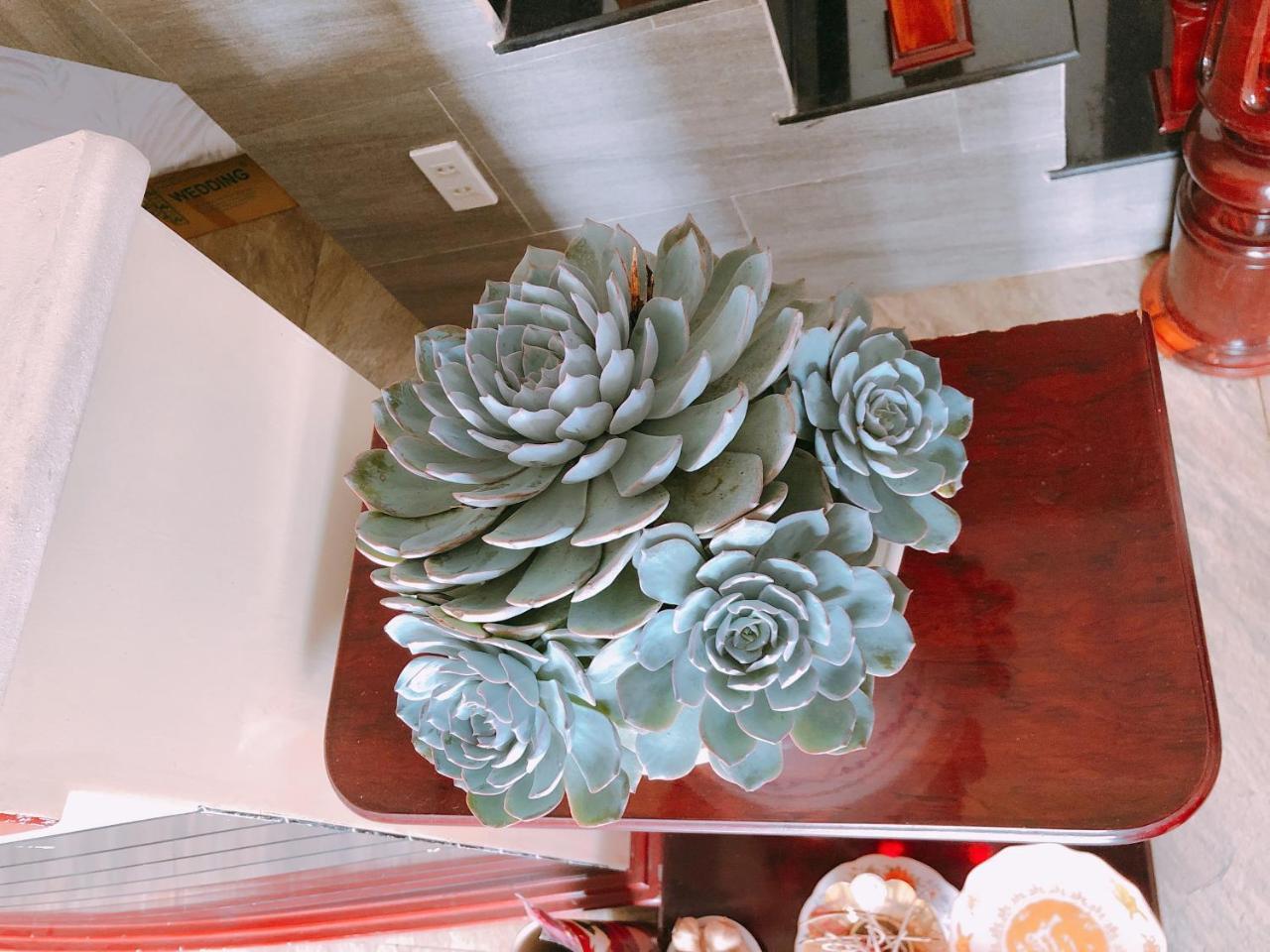 Mai Anh Dao Hotel Da Lat Kültér fotó